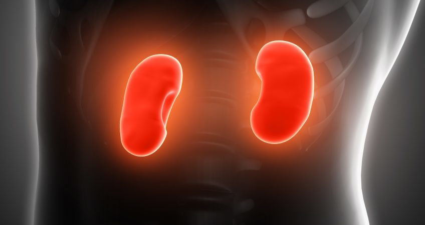 5 dicas de alimentação para manter os rins saudáveis